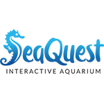 This image has an empty alt attribute; its file name is SeaQuest-2.png
